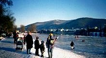  Foto: Neckarwiese Heidelberg 