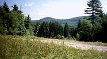  Foto: Odenwald 