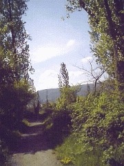Pfalzfoto